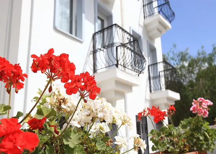 شقة فندقية Casa Bodrum 2*