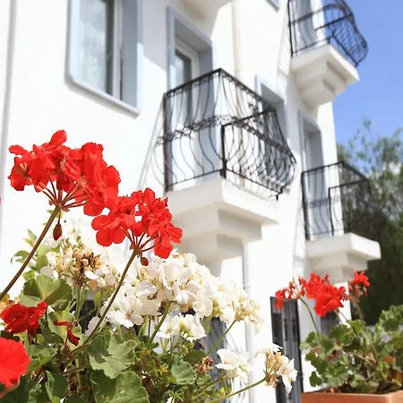 公寓式酒店 Casa Bodrum 2*